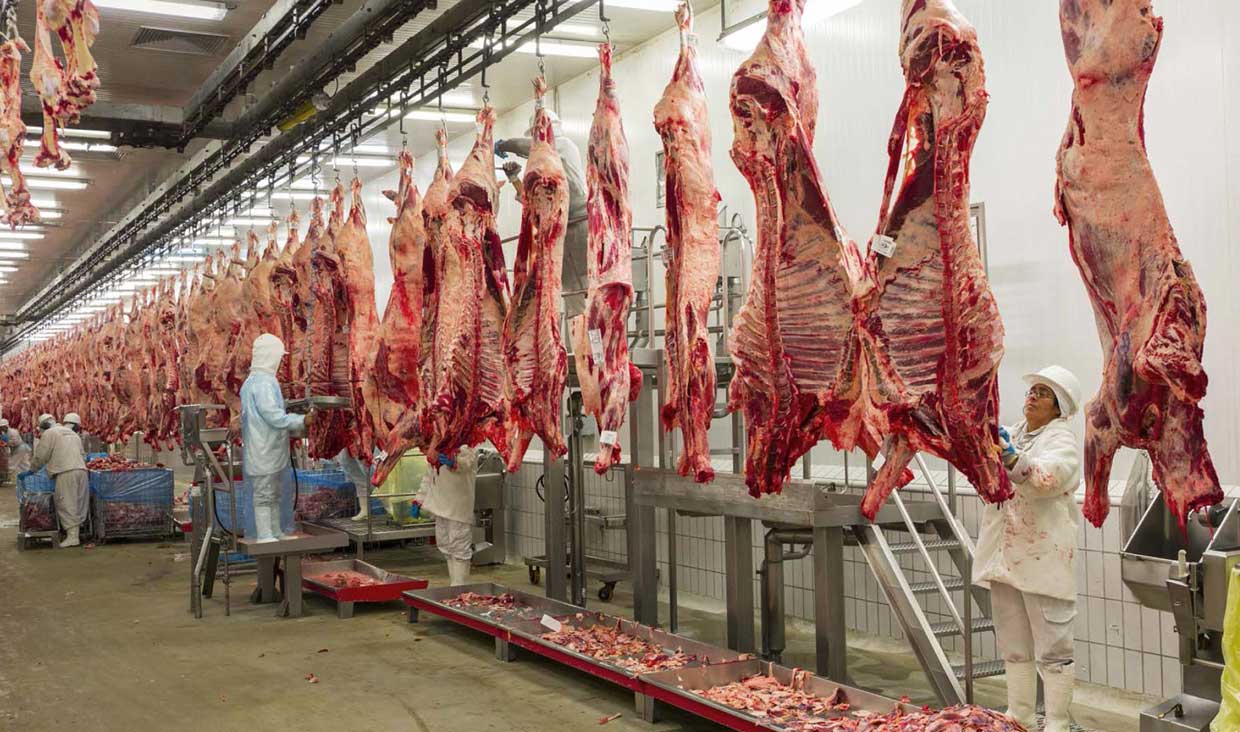 نگاه وزارت جهاد کشاورزی به واردات گوشت