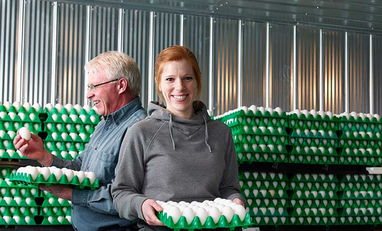 سود گرانی تخم‌مرغ در جیب خرده‌فروشان