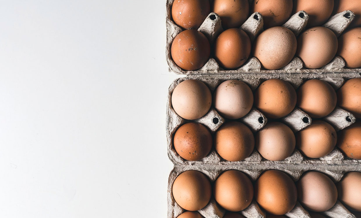 صادرات تخم مرغ از مرز زمینی آستارا