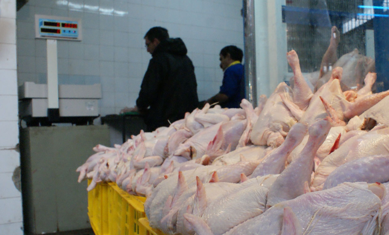 امتناع از عرضه مرغ مشمول ۷۰ درصد جریمه می شود