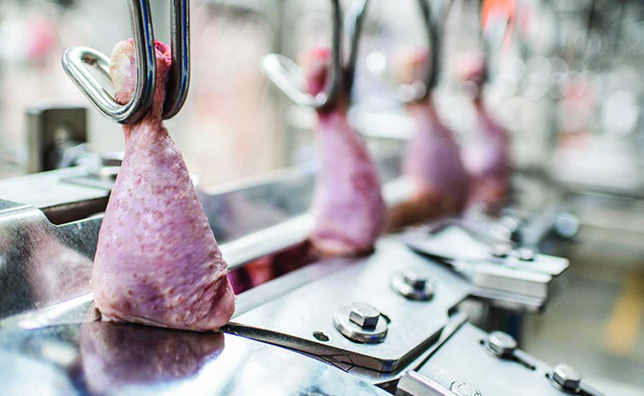 واردات گوشت مرغ منطق اقتصادی ندارد