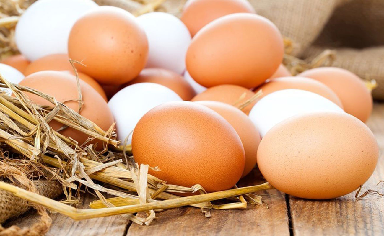 ضرر مرغداران در فروش تخم مرغ 