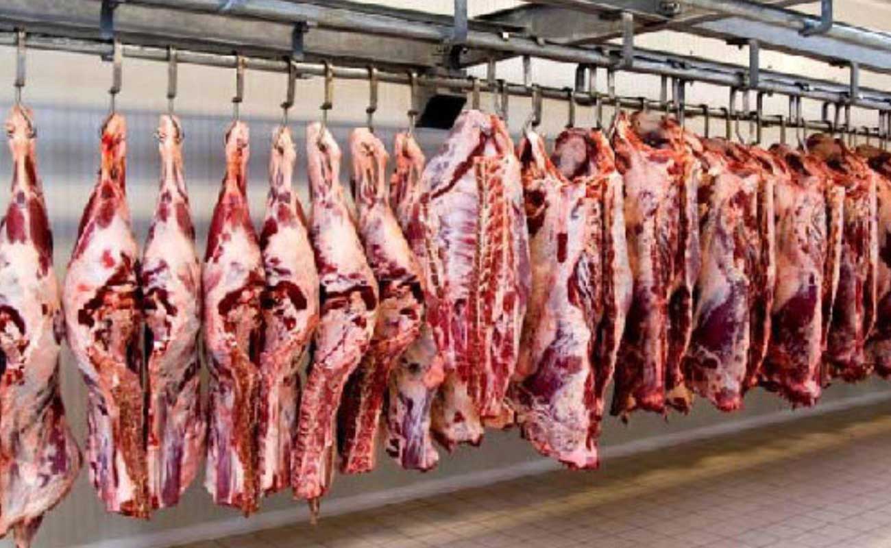 ۲۵ درصد بیش از نیاز گوشت دام سنگین وارد کرده‌ایم