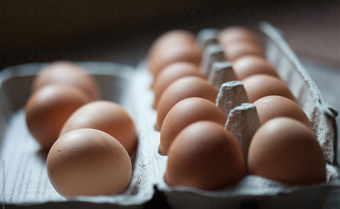 خطر جدی برای صنعت تولید تخم مرغ