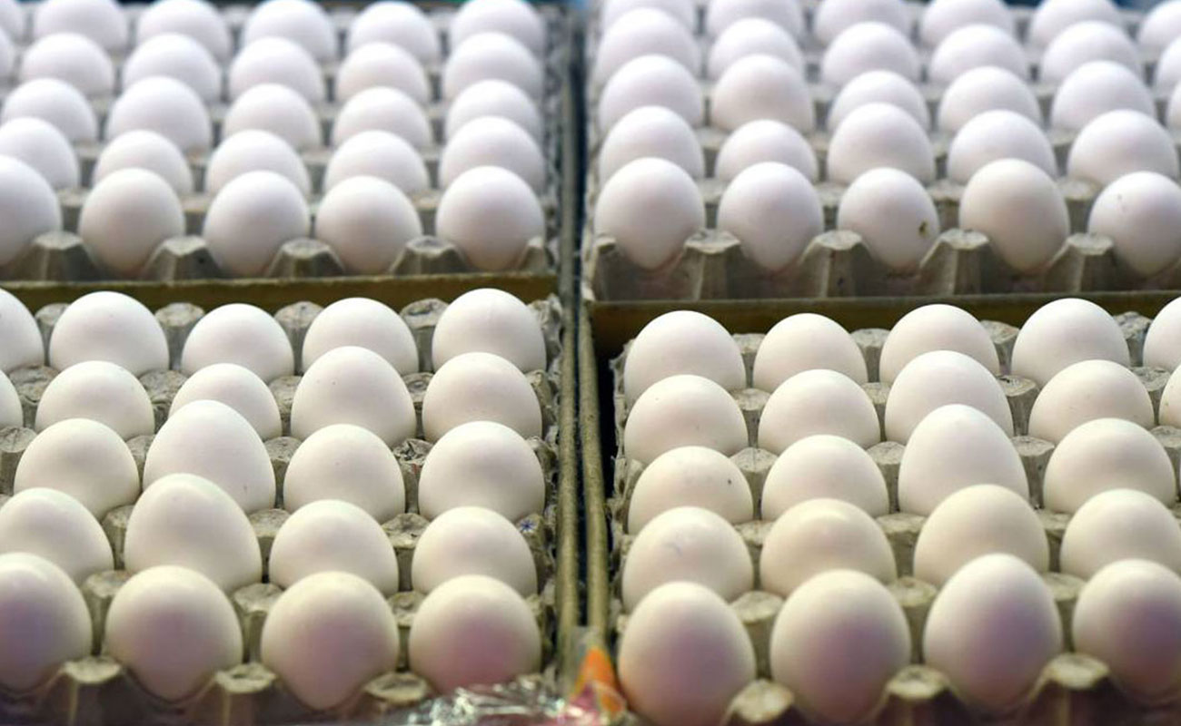 توزیع ۱۱ هزار تن تخم مرغ تنظیم بازار در کشور