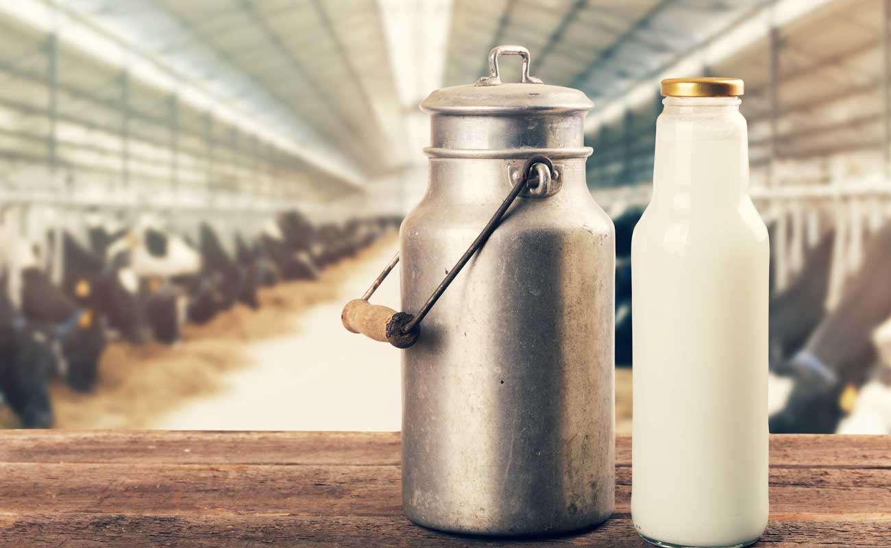 روند افزایش قیمت شیر و ماست در یک سال اخیر