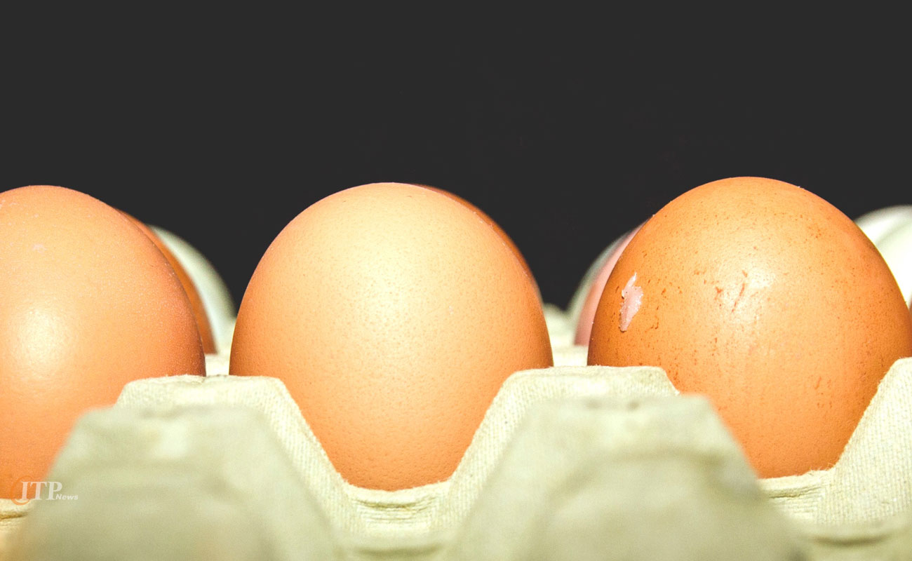 برقراری نهاده در برابر محصول برای تنظیم بازار تخم مرغ