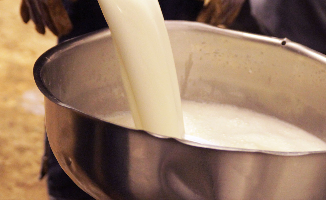  افزایش قیمت شیر خام