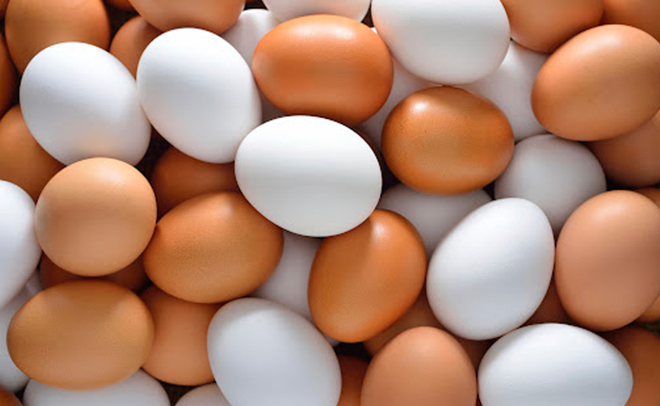 تولید روزانه ۱۲۰ تُن تخم مرغ در ۱۸ واحد پرورشی گلستان