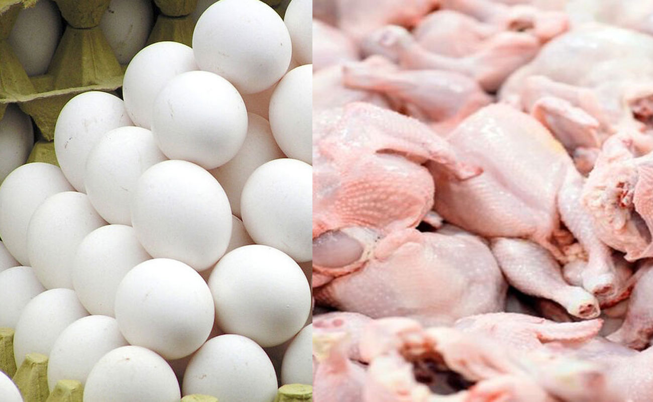توزیع هوشمند مرغ و تخم‌مرغ 