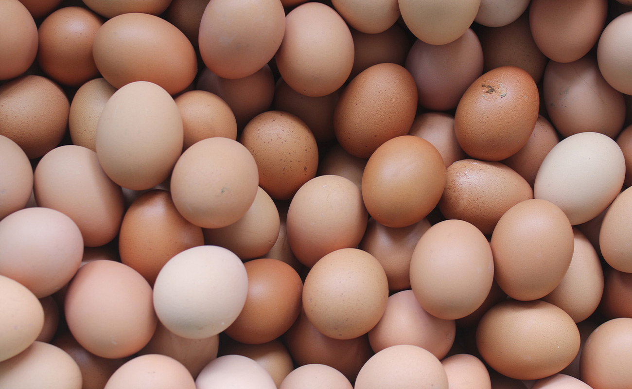 پایان سال با ۵۰ هزار تن تخم مرغ مازاد مواجه می شویم