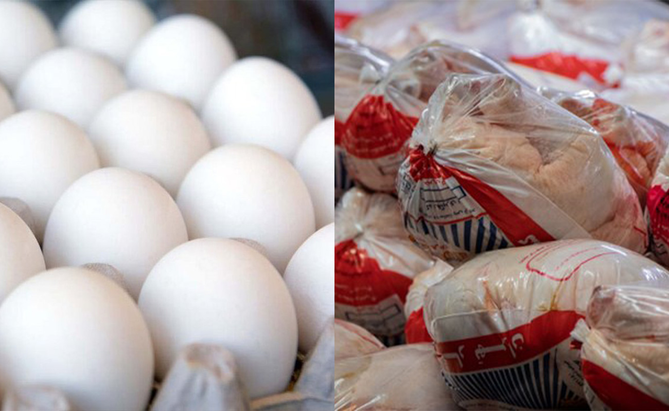 پیش‌بینی تولید بیش از ۳.۷ میلیون تن گوشت مرغ و تخم‌مرغ