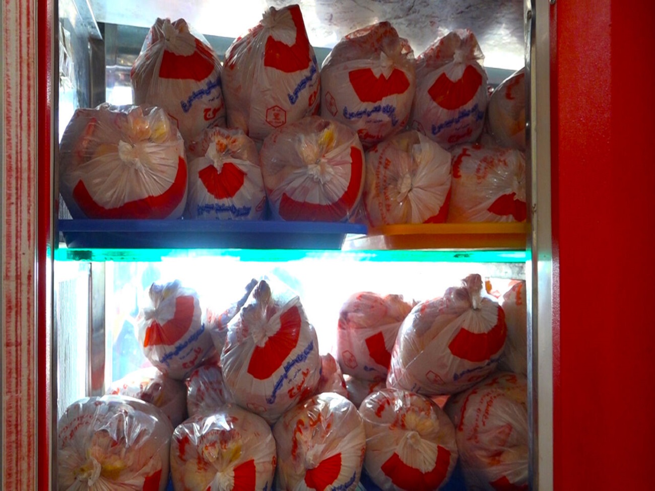 یک‌هزار و ۶۰۰ تن مرغ منجمد در گیلان ذخیره شد