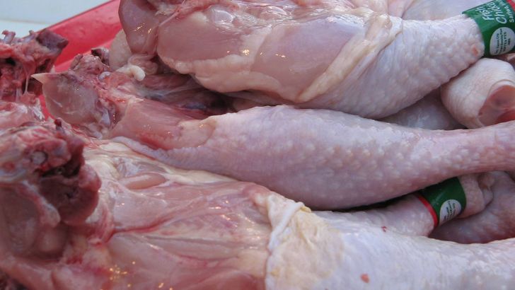 مرغ تولیدی در سمنان فاقد باقیمانده دارویی است