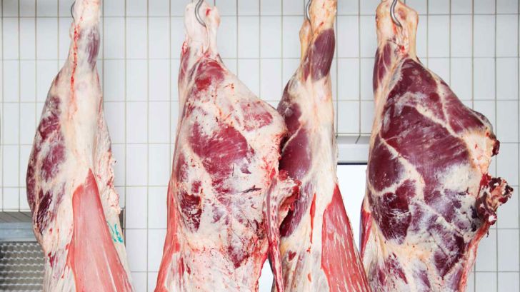 تولید 8000 تن گوشت قرمز و سفید در تنکابن 