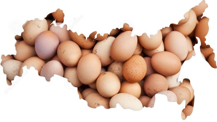 کشمکش های صنعت تخم مرغ روسیه