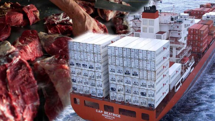 اختصاص ارز 4200 تومانی برای واردات گوشت