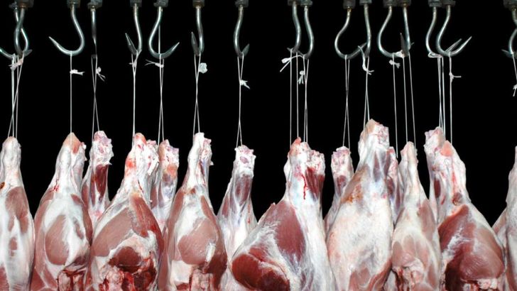 ۹۰ درصد گوشت مصرفی در داخل کشور تولید می شود