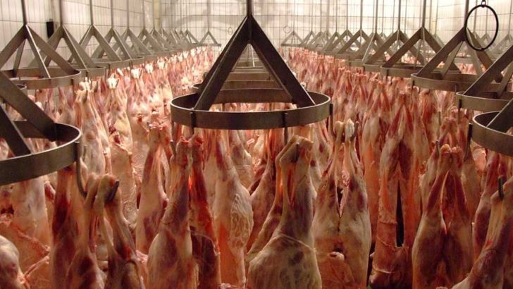جزئیات شیوه توزیع گوشت تنظیم بازاری