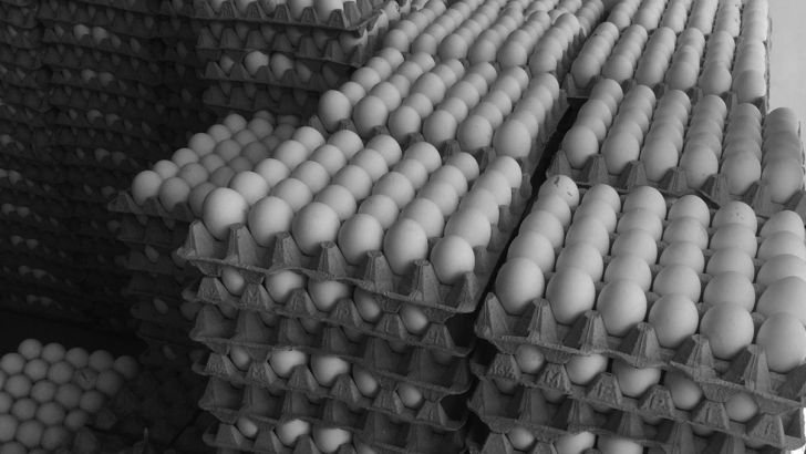 تخم مرغ ها ۱۱۰۰ تومان زیر نرخ تمام شده عرضه می شوند