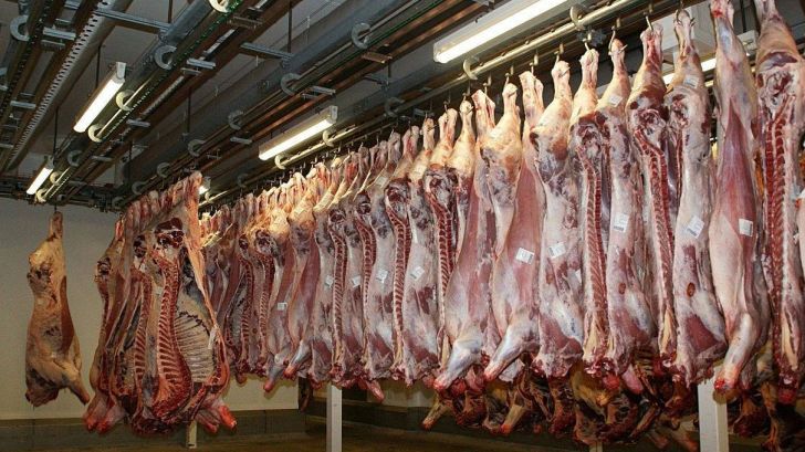 پروتکل بهداشتی ایران و اروپا برای واردات گوشت
