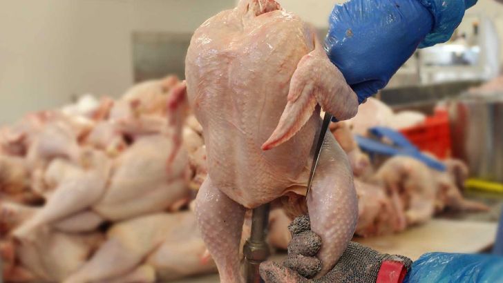 افزایش سهمیه مرغ گرم در استان تهران