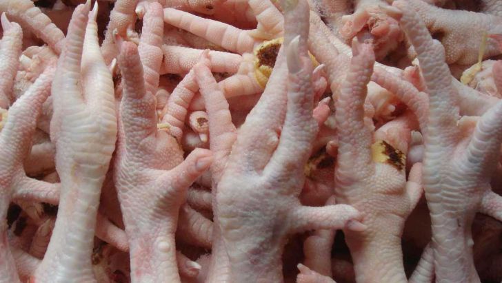 رشد چهار برابری صادرات پا و پنجه مرغ از استان مرکزی