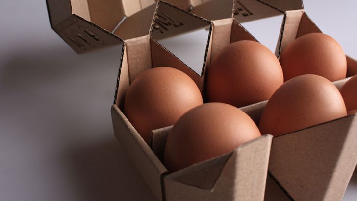 ثبات نرخ تخم مرغ در بازار