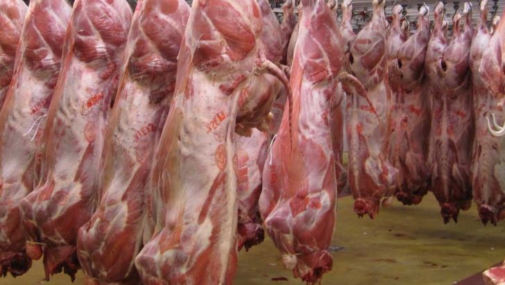 قیمت گوشت در سراشیبی سقوط 