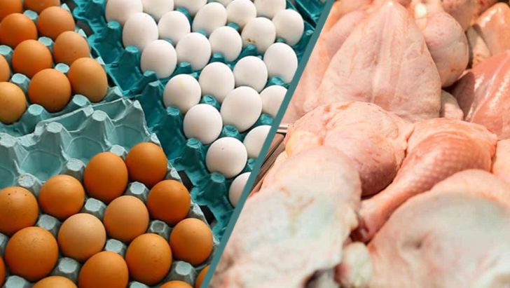 تورم ۸۰ درصدی هزینه‌ تولید مرغ و تخم‌مرغ 