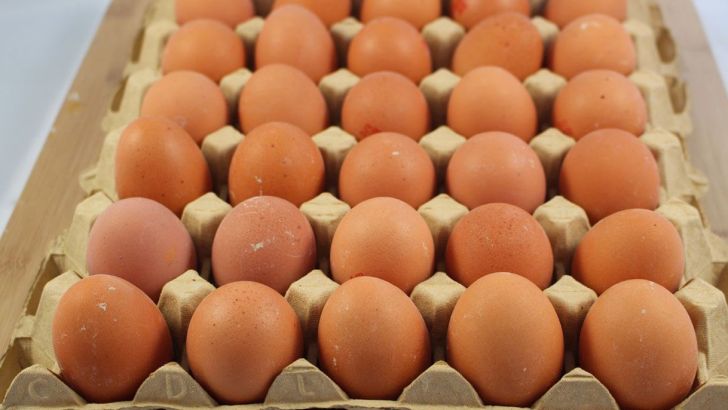 کاهش شدید قیمت تخم‌مرغ 