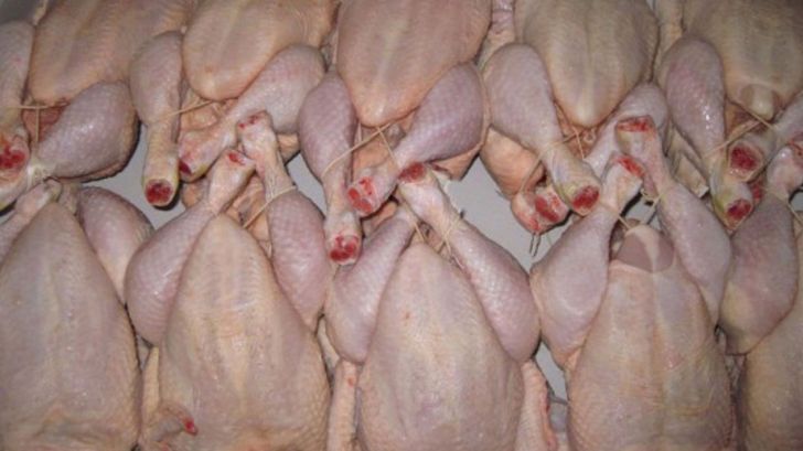 مرغ «ممتاز» به زودی در کشور عرضه می شود