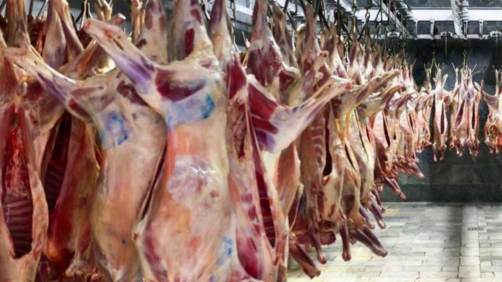 واسطه‌ها اجازه کاهش قیمت گوشت را نمی‌دهند 
