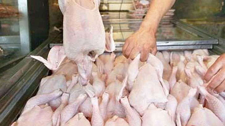 صادرات گوشت مرغ بلامانع است 