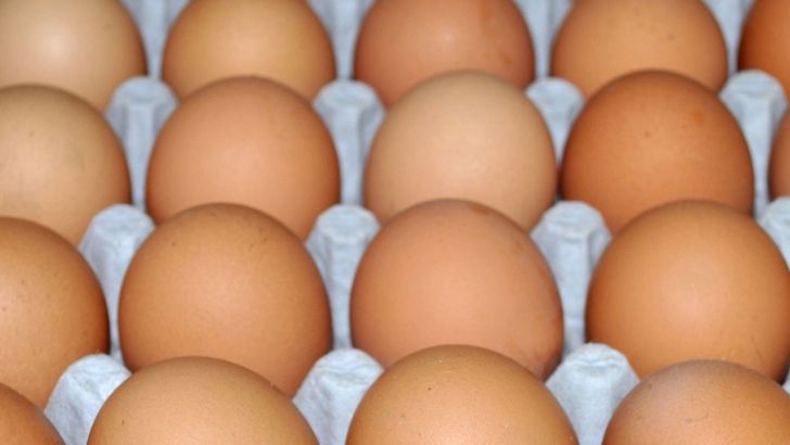 هر شانه تخم مرغ به ۲۰ هزار تومان رسید