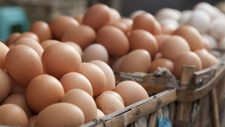 کشور های منطقه از تخم مرغ صادراتی ایران استقبال کرده اند