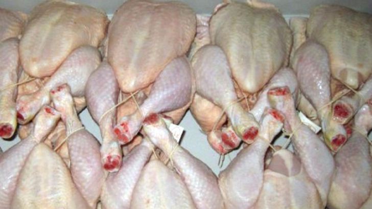 عرضه نشدن مرغ گرم در بازار یاسوج