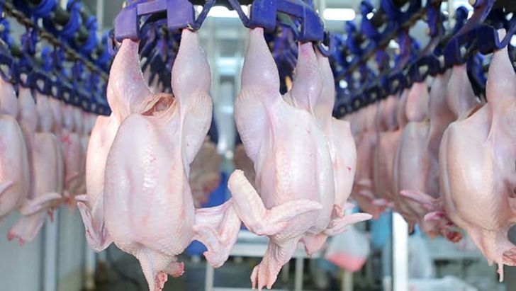 بررسی عوامل افزایش قیمت مرغ در بازار