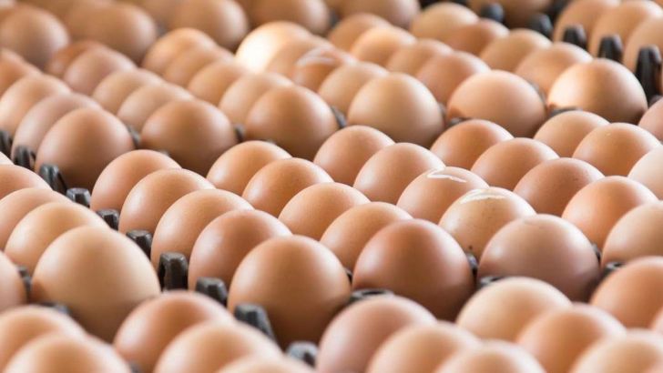 صادرات 11 هزار تن تخم‌مرغ در 2.5 ماه