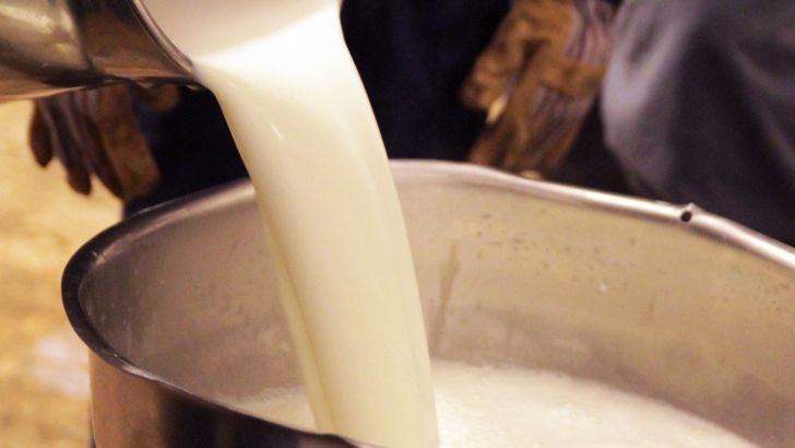 خرید شیر ‌دامداران خراسان شمالی را زمین گیر کرده است