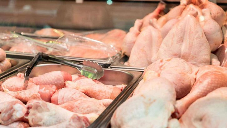 تصویب واردات مرغ اقدامی بر ضد تولید است