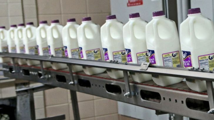 افزایش ۳ درصدی قیمت شیر با نرخ مصوب جدید سبوس
