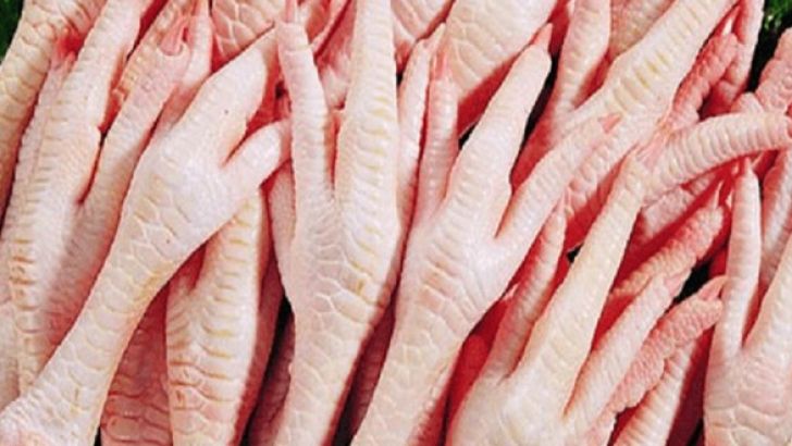 صادرات 3 میلیون تن پای مرغ از اردبیل به ویتنام