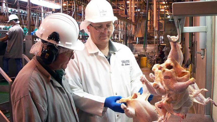 طرح ارتقای کیفیت گوشت مرغ در کشور اجرایی شد
