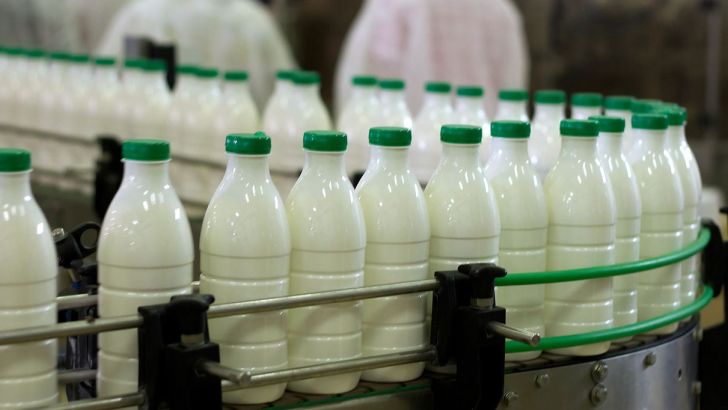 گاوداران: چاره‌ای جز افزایش قیمت شیر نداریم
