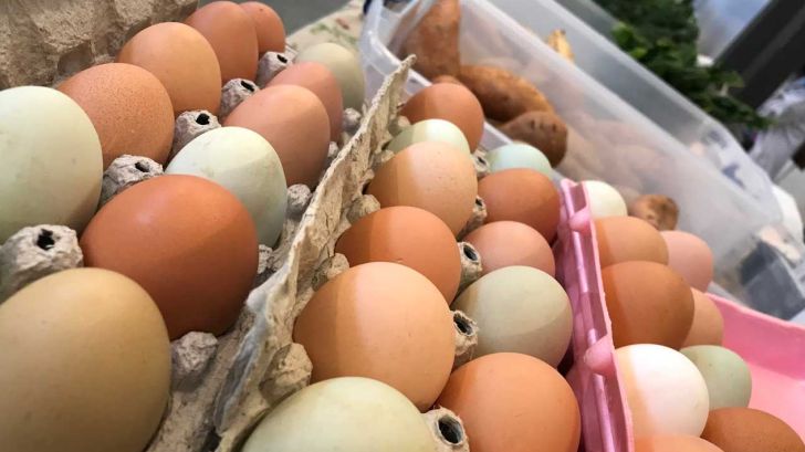 توقف خرید توافقی تخم مرغ توسط شرکت پشتیبانی امور دام