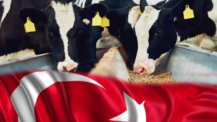 نهاده‌های دامی مورد نیاز شمال‌غرب کشور از ترکیه تامین می‌شود