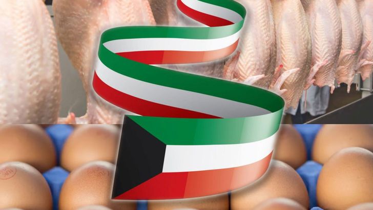 کویت ممنوعیت واردات مرغ و تخم‌مرغ از ایران را لغو کرد+سند