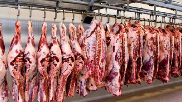 عامل گرانی ۳۰درصدی گوشت در بازار کیست ؟