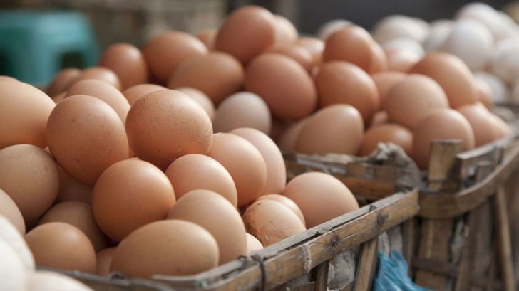 تولید روزانه ۲۸۰۰ تا ۲۹۰۰ تن تخم مرغ در کشور